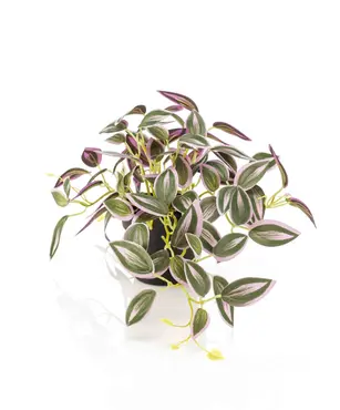 Kunstplant Tradescantia Groen Paars