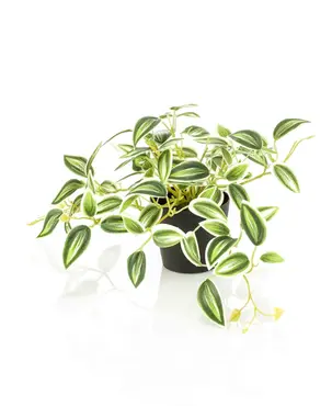 Kunstplant Tradescantia 