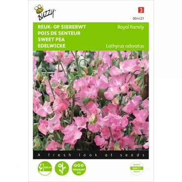 Lathyrus, Reuk- of siererwt Royal Family roze - afbeelding 1