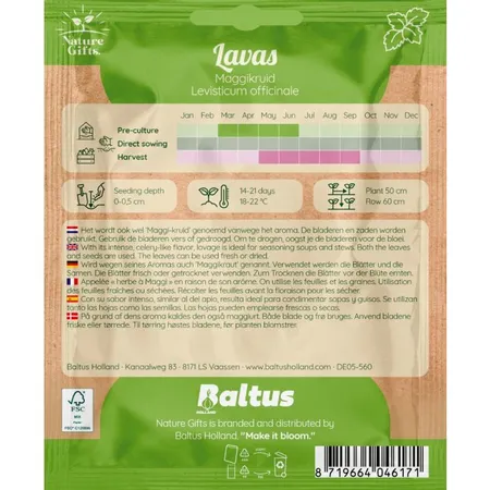 Lavas maggikruid 50st - afbeelding 2