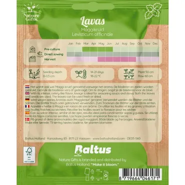 Lavas maggikruid 50st - afbeelding 2