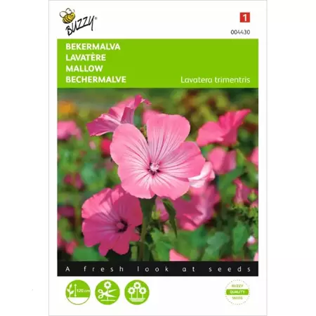 Lavatera, Bekermalva Roze/Rood - afbeelding 1