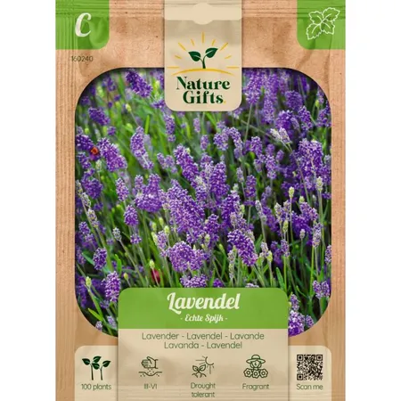 Lavendel echte spijk 100st - afbeelding 1