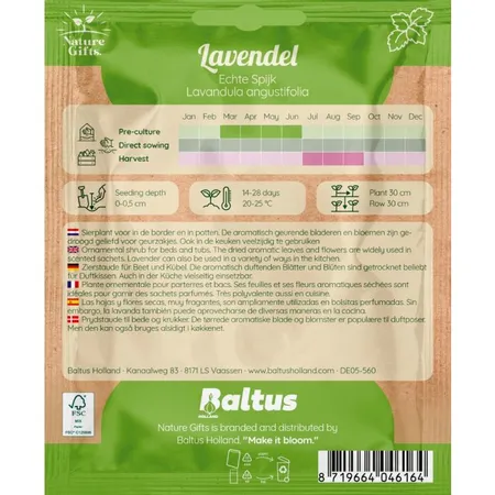 Lavendel echte spijk 100st - afbeelding 2