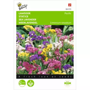 Limonium, Lamsoor Pacific gemengd - afbeelding 1