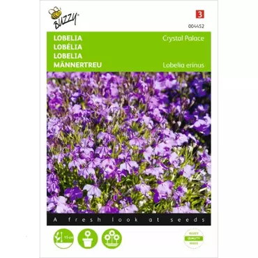 Lobelia Crystal Palace - afbeelding 2