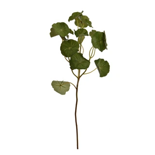 Lotusblad l44cm groen