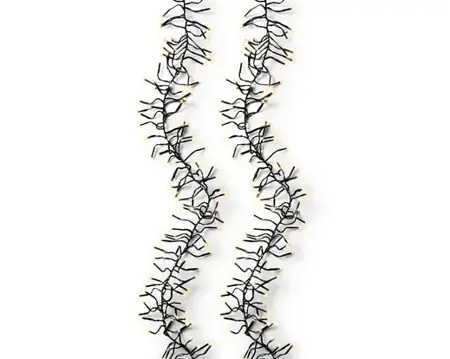 Lumineo cluster kerstverlichting | 448 LED | 4.2 meter | soft gold - afbeelding 5