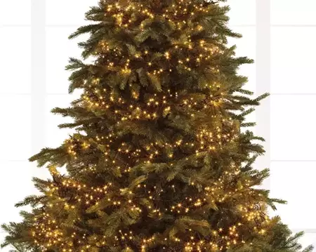 Lumineo cluster kerstverlichting | 588 LED | 5.5 meter | klassiek warm - afbeelding 9