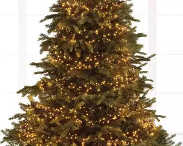 Lumineo cluster kerstverlichting | 588 LED | 5.5 meter | klassiek warm - afbeelding 9