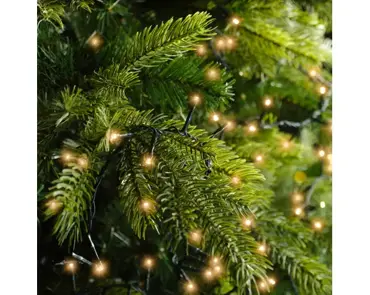 Lumineo compact kerstverlichting | 220 LED | 5 meter | klassiek warm - afbeelding 7