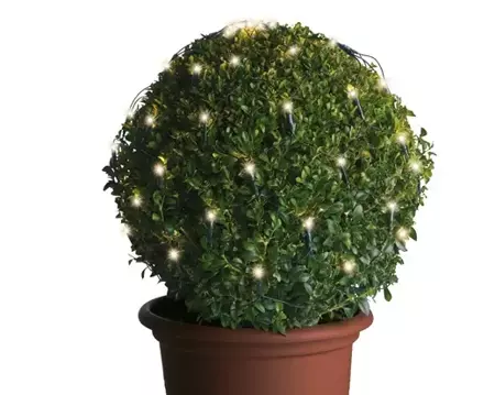 Lumineo Netverlichtingled buxus ø50cm 80led warm wit - afbeelding 2