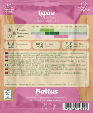 Lupine russell mengsel 20st - afbeelding 2