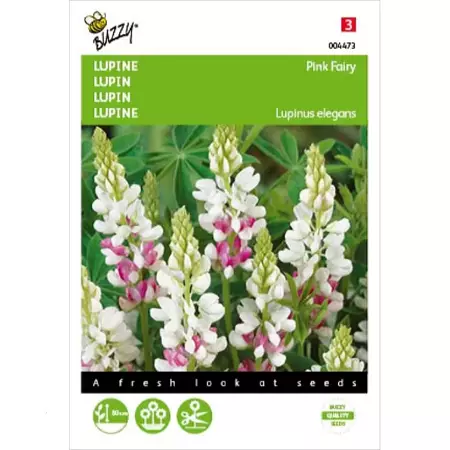 Lupinus, Lupine Rose laag Pink Fairy - afbeelding 1