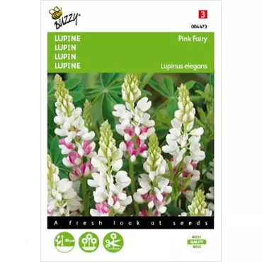 Lupinus, Lupine Rose laag Pink Fairy - afbeelding 2
