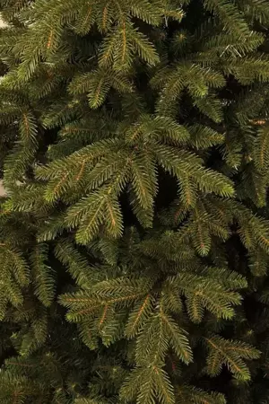 Macallan kerstboom groen - h215 x d137cm - afbeelding 3