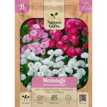 Madeliefje duizendschoon mengsel 100st - afbeelding 1