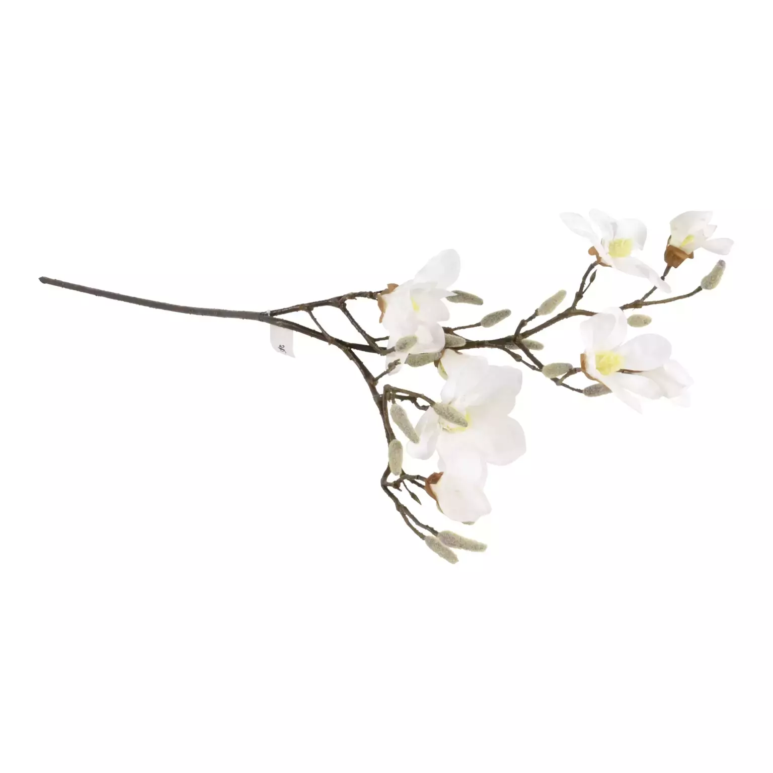 Magnolia steel l45cm wit