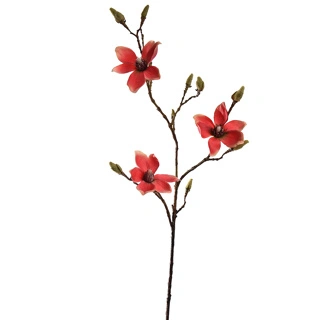 Magnoliasteel l90cm rood