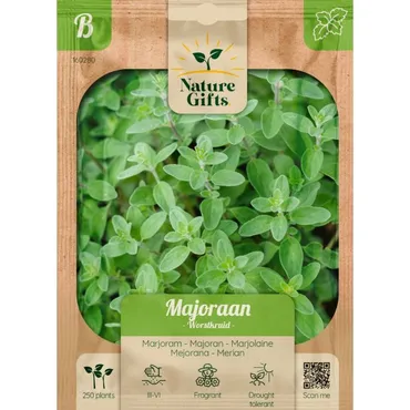 Majoraan worstkruid 250st - afbeelding 1