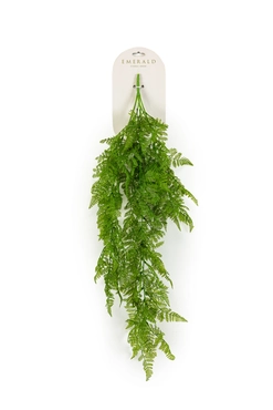 Mannetjesvaren hangend l35cm groen