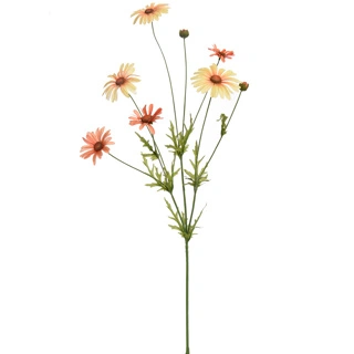 Margrietjessteel l92cm geel/oranje