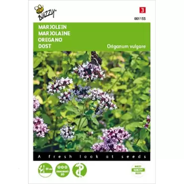 Marjolein, Oregano - afbeelding 1