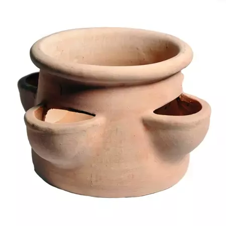MEGA COLLECTIONS Aardbeienpot 4cm cups d35 whitewash
