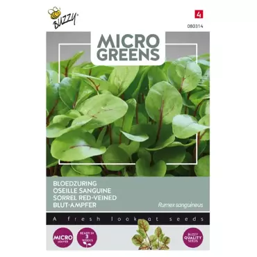 Microgreens, Bloedzuring - afbeelding 1