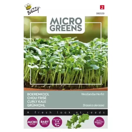 Microgreens, Boerenkool Westlandse Herfst - afbeelding 1