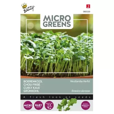 Microgreens, Boerenkool Westlandse Herfst - afbeelding 1