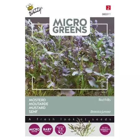 Microgreens, Mosterd Red Frills - afbeelding 1