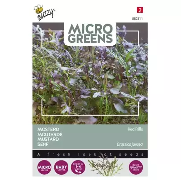 Microgreens, Mosterd Red Frills - afbeelding 1