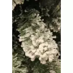Millington kerstboom groen frosted - h155 x d86cm