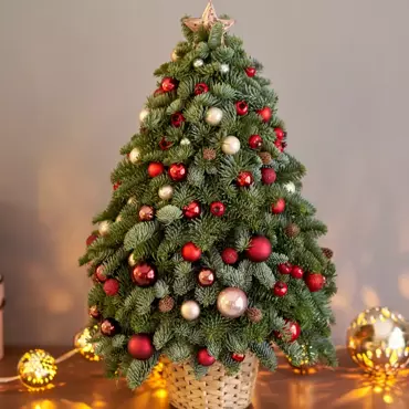 Mini kunstbomen (<75cm)