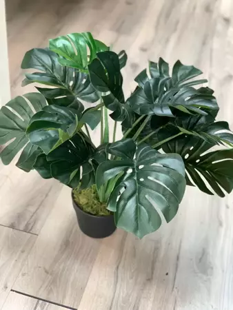 Kunstplant Monstera i/pot h60cm - afbeelding 2