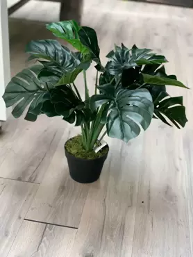 Kunstplant Monstera i/pot h60cm - afbeelding 3