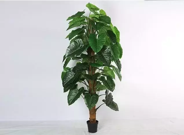 Monstera zijde groen