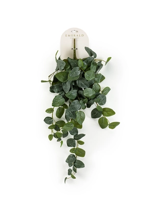Mozaïekplant hangend l25cm groen