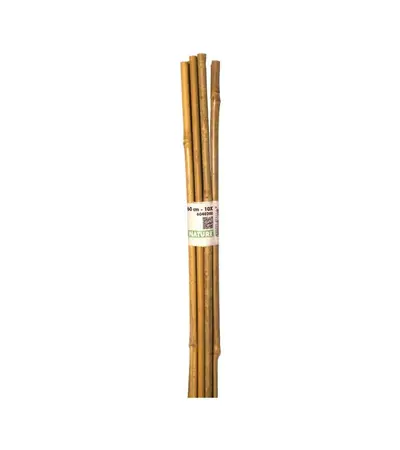 Nature Bamboestok l60cm d6-8mm 10st - afbeelding 1