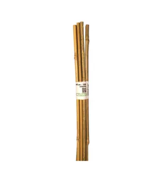 Nature Bamboestok l60cm d6-8mm 10st - afbeelding 1