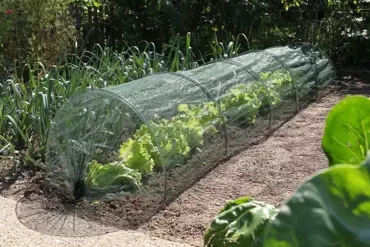 Nature Tuintunnelset 2 in 1 met Foliehoes - afbeelding 3