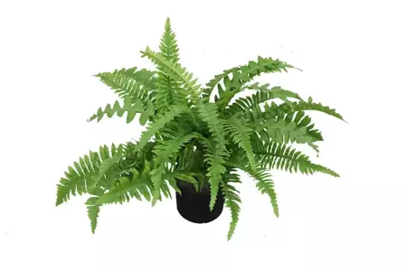 Kunstplant Nephrolepis in pot h45cm groen
