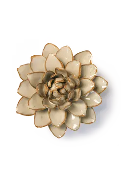 Oatmeal Starbrite Water Lily