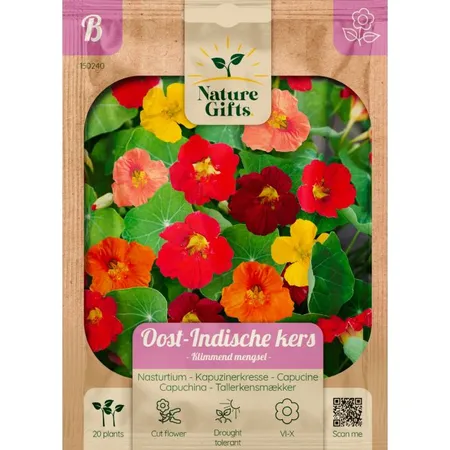 Oost-indische kers klimmende mengsl 20st - afbeelding 1