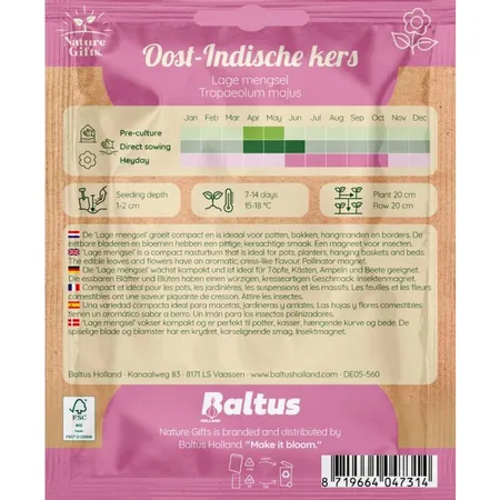 Oost-indische kers lage mengsel 20st - afbeelding 2