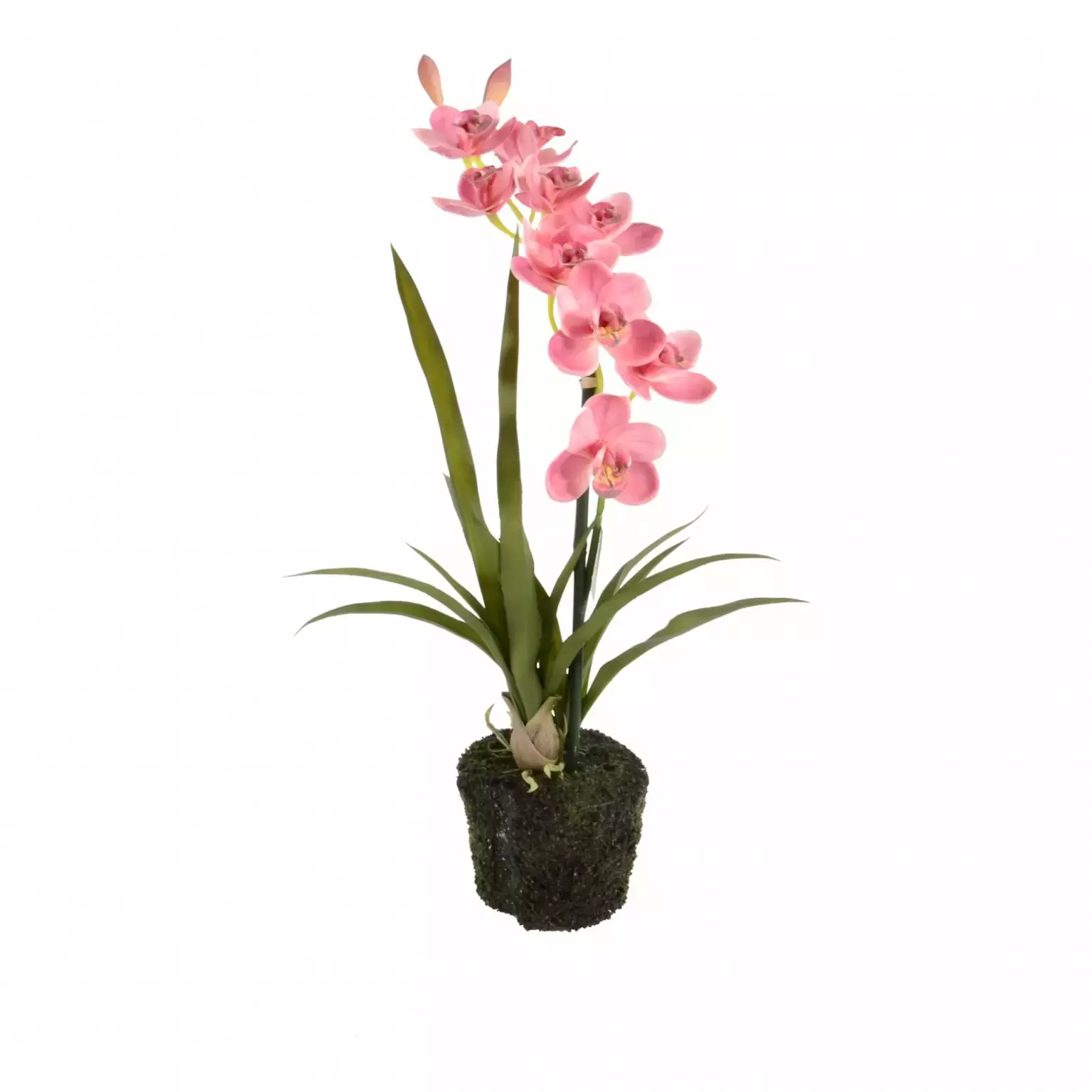 Gelijkmatig Interpersoonlijk Grote hoeveelheid Kunstplant orchidee roze - 1 tak h53cm - Top Tuincentrum
