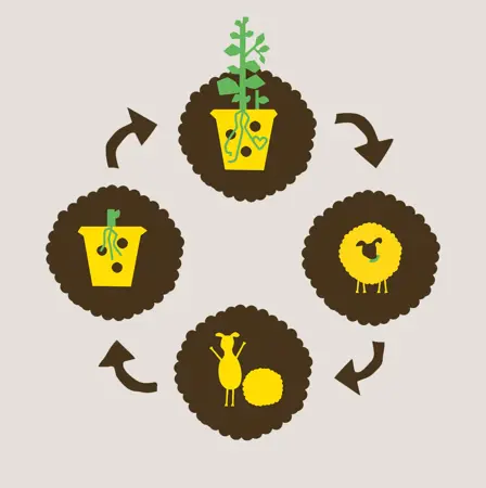 Oro Wolkorrel - 400 gram detail