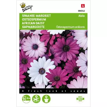 Osteospermum, Spaanse Margriet Akila mix - afbeelding 1