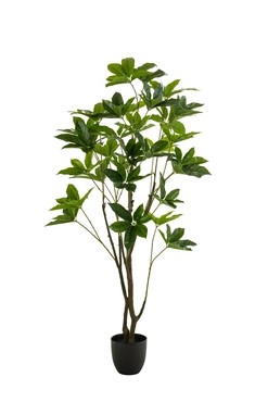 Pachira tree 150cm